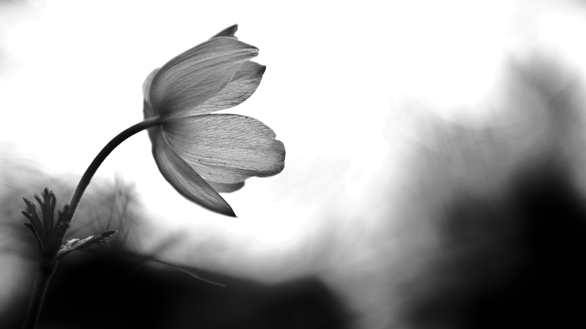 Ακροβατικά